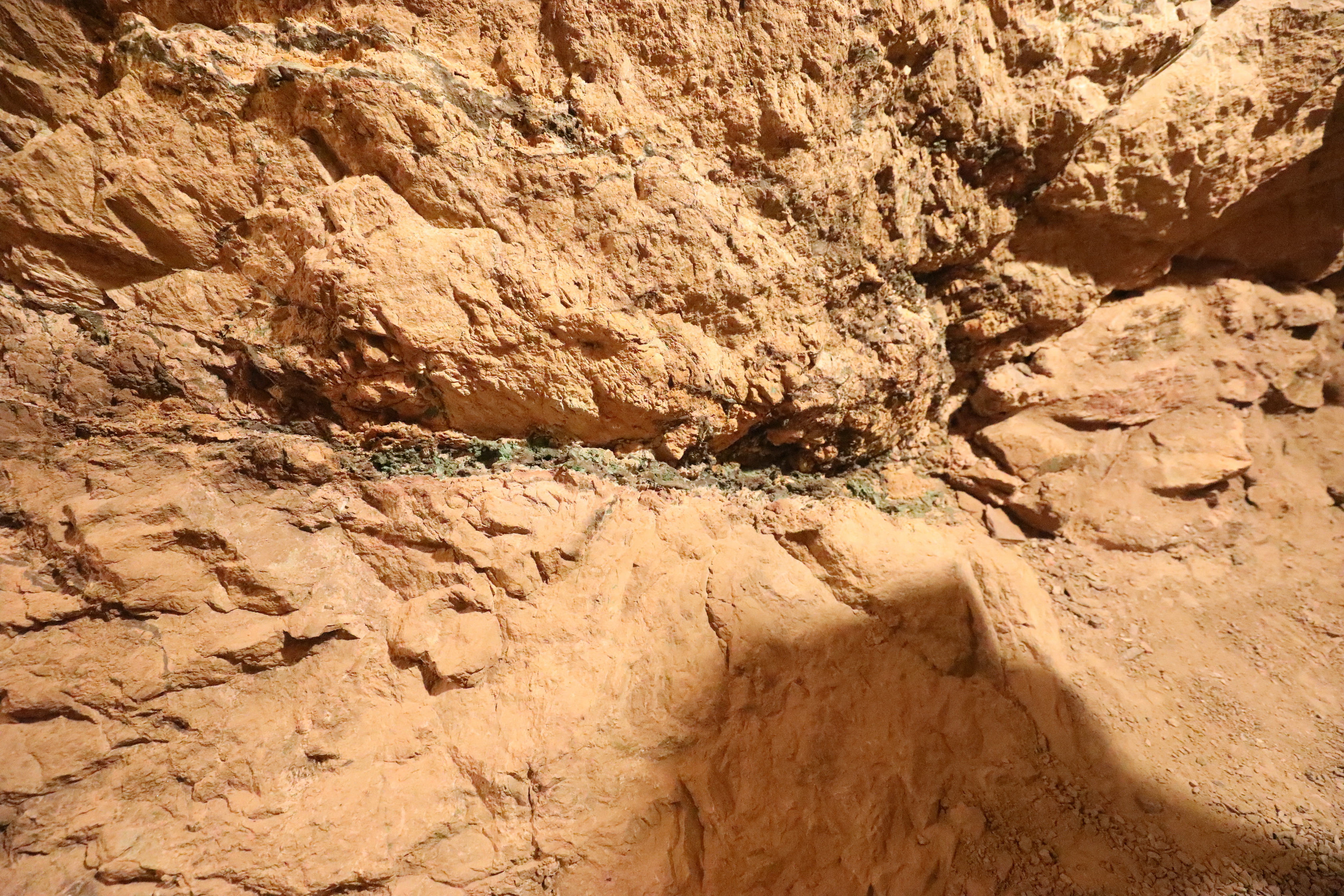 2019 09 01 15 29 08 Canon EOS 5D Mark IV 0003